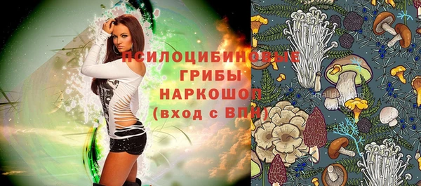 дмт Балахна