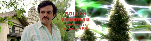 стафф Балабаново