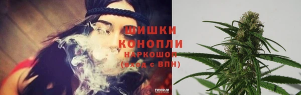 дживик Армянск
