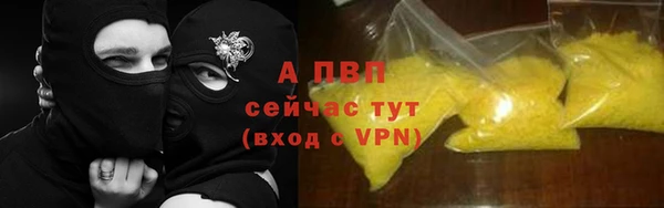 сатива Аркадак