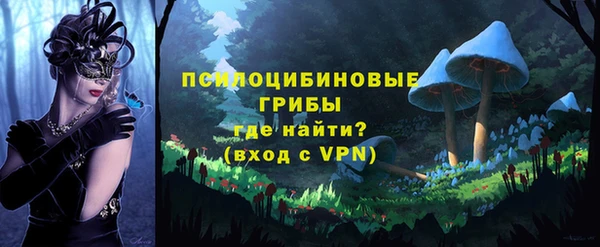 дживик Баксан