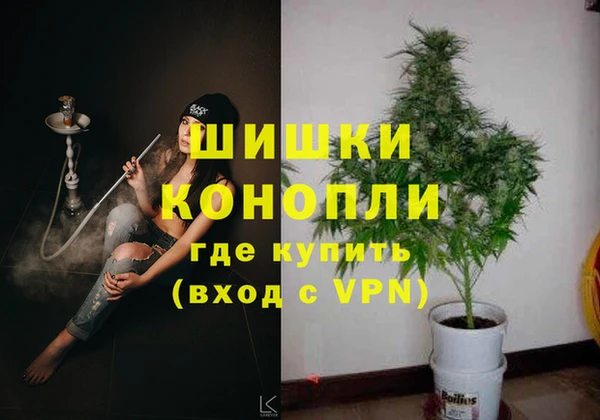 дживик Баксан