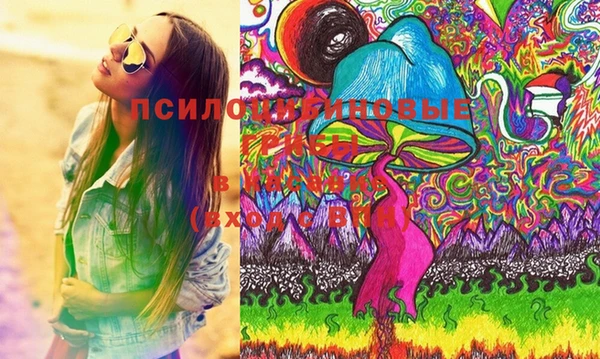 дмт Балахна